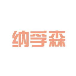 纳孚森商务信息咨询工作环境评估 基于员工反馈的深度解析